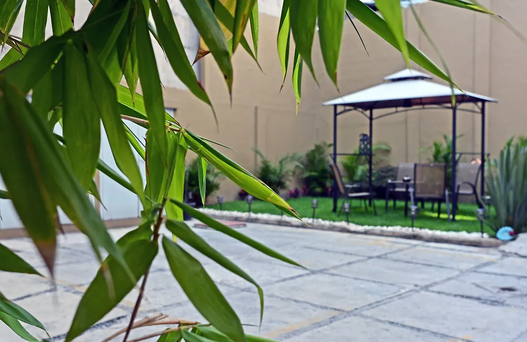 Suites 259 Condesa-1
